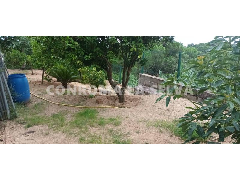Foto bc17c568-c6a6-4f77-9046-2c1bcef60720. Terreno residencial venta de terreno en Lloret Verd - Els Pinars Lloret de Mar