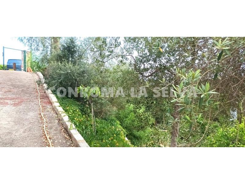 Foto c94374d0-5b34-4fb0-bbeb-29b200406910. Terreno residencial venta de terreno en Lloret Verd - Els Pinars Lloret de Mar