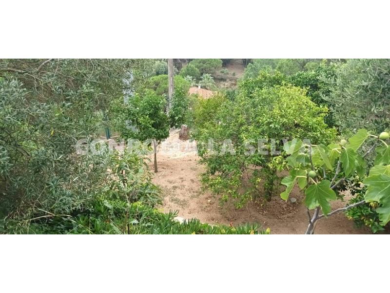 Foto c9a66361-e09d-4ebd-abdc-7424087d6f05. Terreno residencial venta de terreno en Lloret Verd - Els Pinars Lloret de Mar