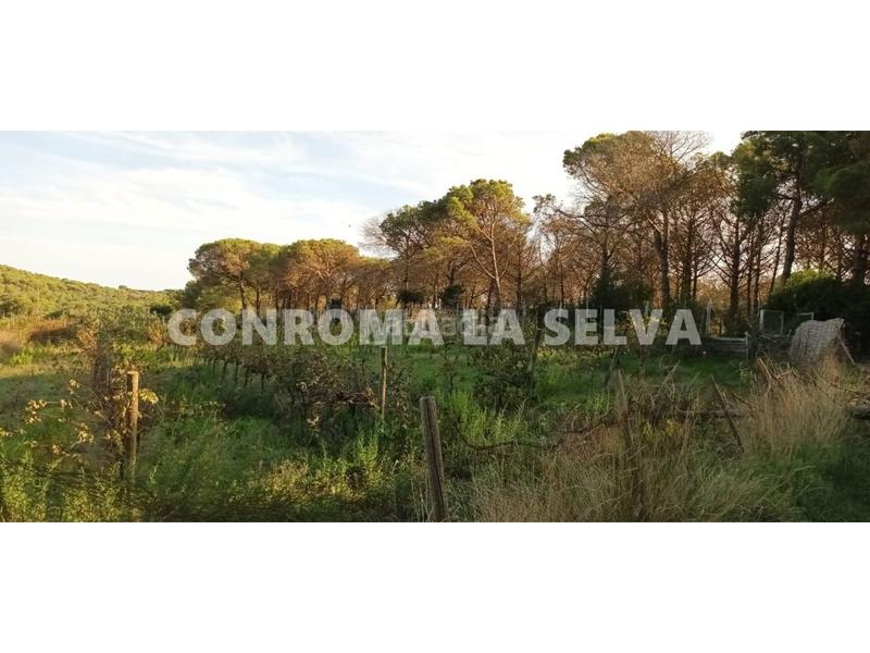 Foto 104b6902-0e89-4610-a1f6-d562050b0c18. Fondo rustico in Mas Mora-Sant Daniel Tordera