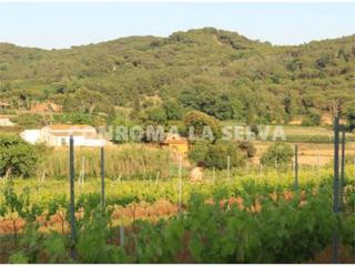 Finca rústica en Mas Mora-Sant Daniel. Venta de finca rústica, dispone de agua y luz en tordera