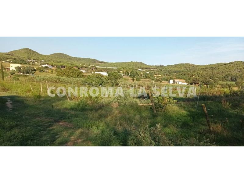 Foto 505806c4-ff44-478d-abfd-e8563e8a29f9. Fondo rustico in Mas Mora-Sant Daniel Tordera