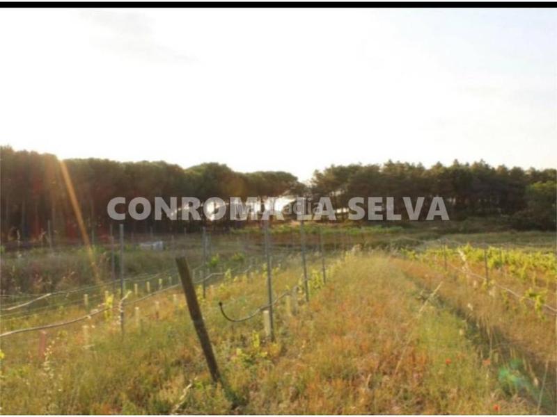 Foto 639b332f-8976-43ca-a838-d783c4db3269. Fondo rustico in Mas Mora-Sant Daniel Tordera