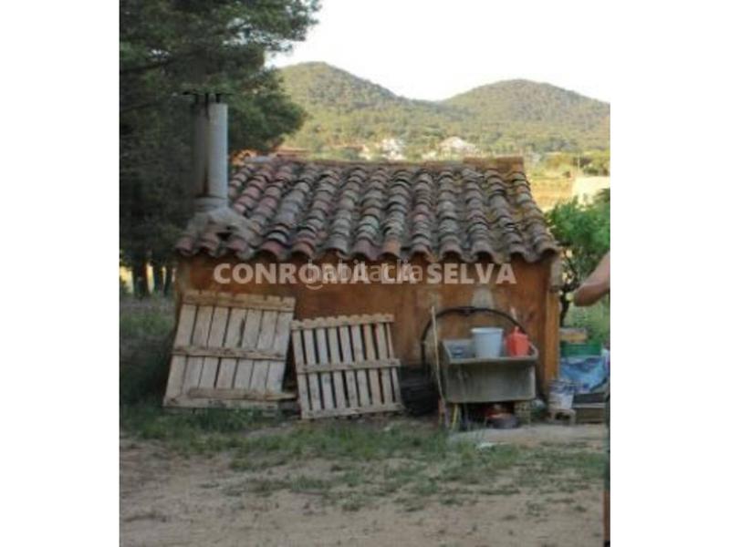 Foto 7ab144bf-3ed1-43db-83ee-2abab4351dee. Fondo rustico in Mas Mora-Sant Daniel Tordera