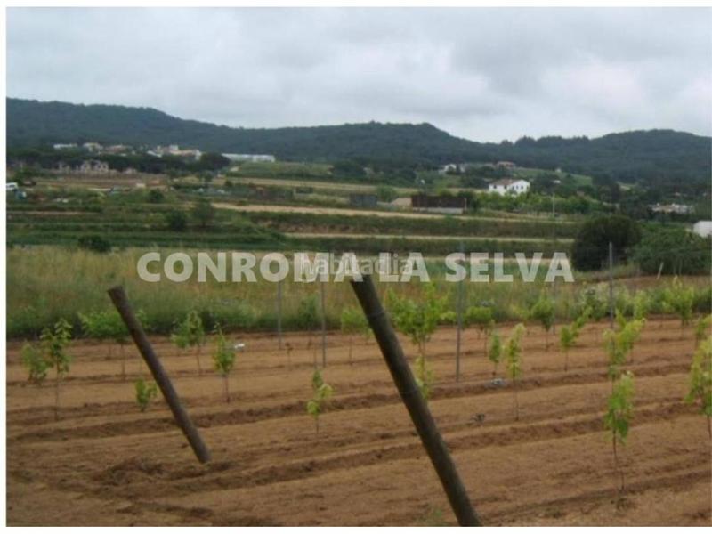 Foto 9fcdecf2-0ce7-444c-bed1-1dce60eb136c. Fondo rustico in Mas Mora-Sant Daniel Tordera