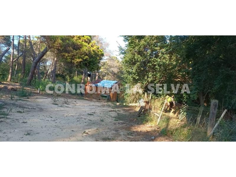 Foto cf78c075-b4f4-4083-bdf0-689ffd9140ef. Fondo rustico in Mas Mora-Sant Daniel Tordera