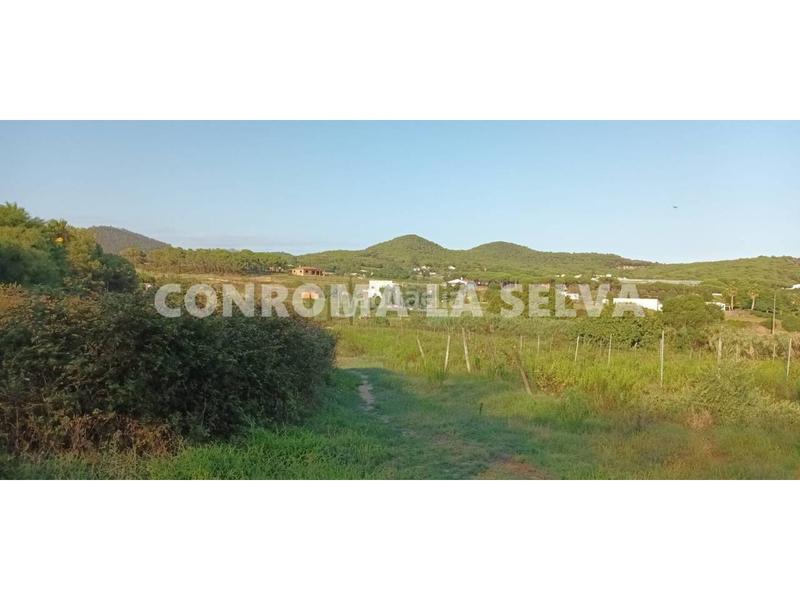 Foto f187bd87-8cbe-4ea9-8fd0-d7c751c812af. Fondo rustico in Mas Mora-Sant Daniel Tordera