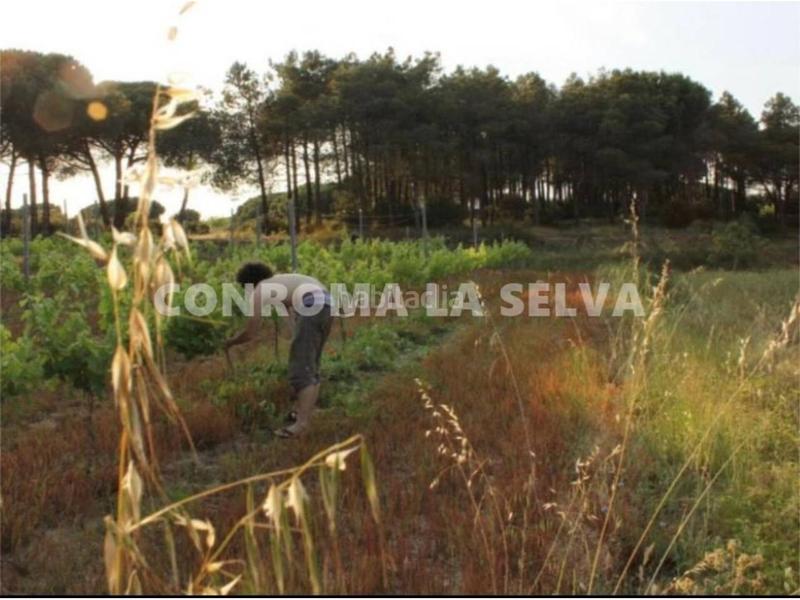 Foto f9fbbf7c-a98f-4186-b841-416396b32cc3. Fondo rustico in Mas Mora-Sant Daniel Tordera