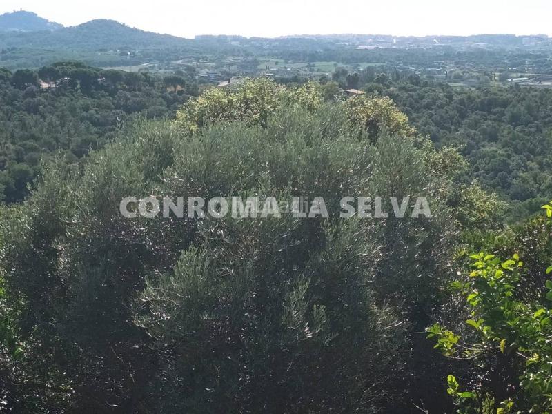 Foto dc85b66b-bb40-44b7-aca1-26942a062c42. Terreno residencial espectacular terreno con vistas al mar en Tordera