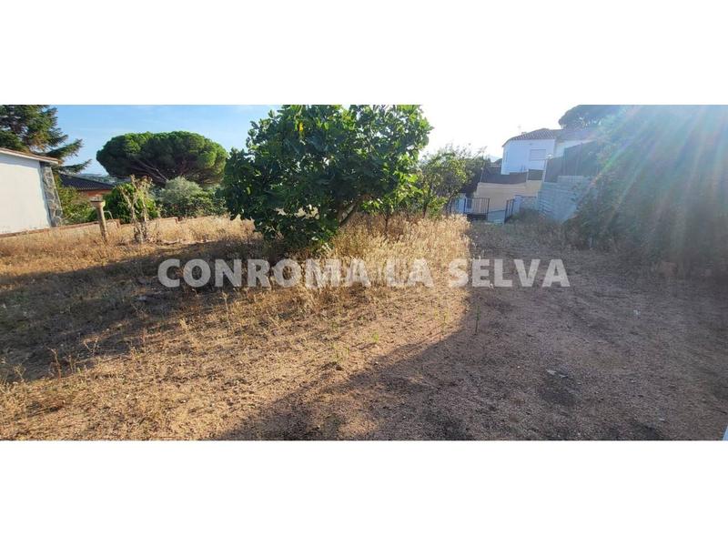 Foto 7359cff9-491d-45f0-b714-4be9aa2e264e. Terreno residenziale in Mas Mora-Sant Daniel Tordera