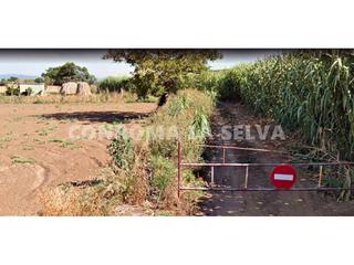 Finca rústica a Palafolls. Encantadora finca de 5783m2 en palafolls