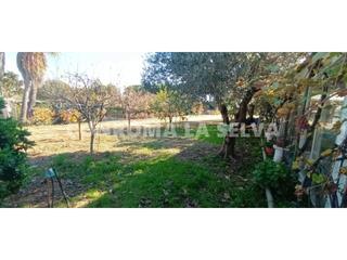 Finca rústica en Malgrat de Mar. Venta de finca rústica en malgrat de mar