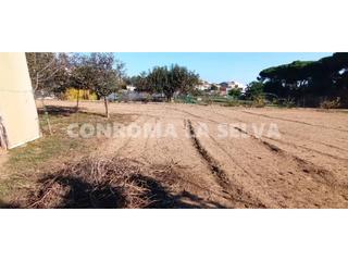 Finca rústica a Malgrat de Mar. Venta de finca rústica en malgrat de mar