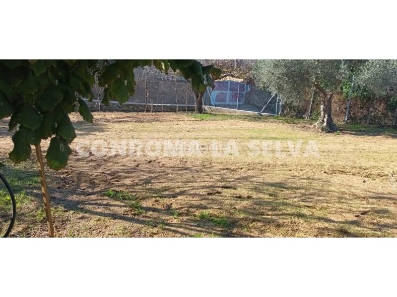 Foto 45bd258a-6b81-4e7c-a2f5-3a4eabe228c3. Fondo rustico in Malgrat de Mar