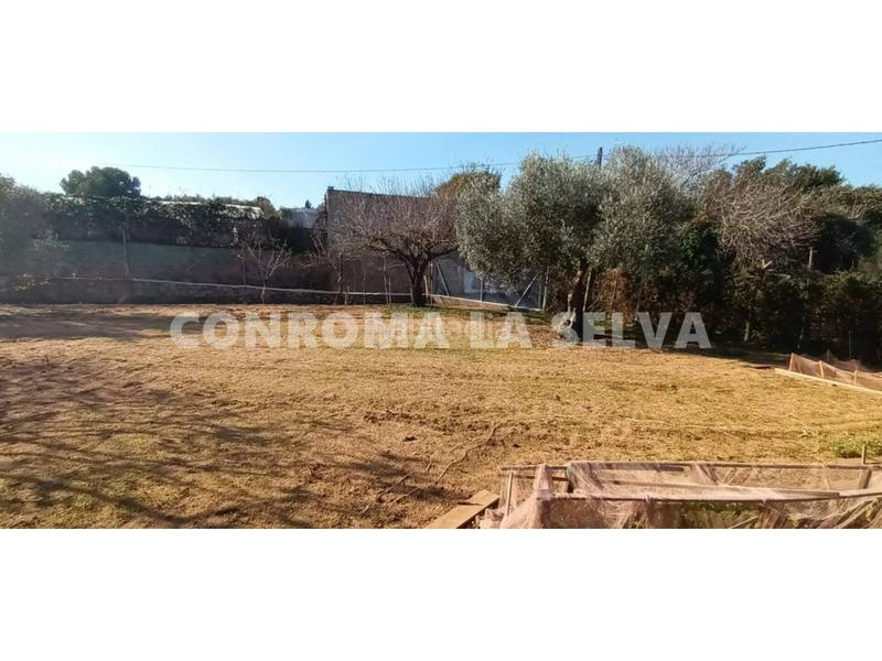 Foto 5d31239a-22f9-405d-80e7-670f993c45ea. Fondo rustico in Malgrat de Mar