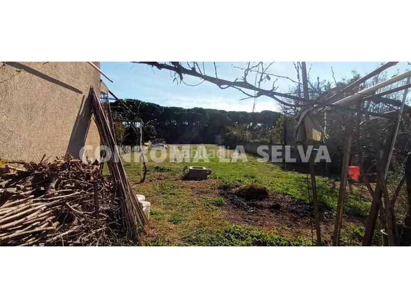 Foto 6c088034-f631-43d7-a7c3-5ae253b60238. Fondo rustico in Malgrat de Mar