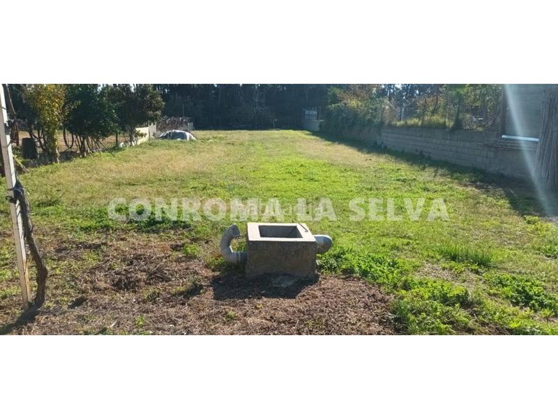 Foto 71c8c9de-45aa-40f0-878e-b04144d92499. Fondo rustico in Malgrat de Mar