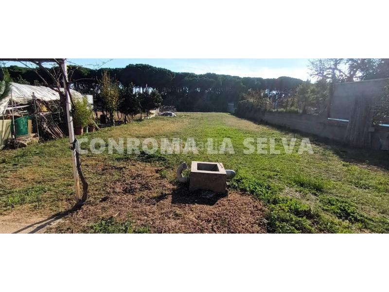 Foto 722679c9-331e-4ba9-8fdc-1e08d1625431. Fondo rustico in Malgrat de Mar