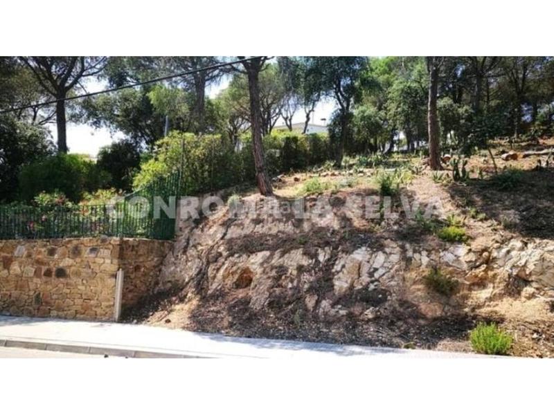 Foto 60068253-e02f-4eda-94f4-d3b164588bea. Propriété dans Mas Mora-Sant Daniel Tordera