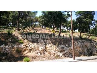 Rural plot in Mas Mora-Sant Daniel. Gran terreno en san daniel
