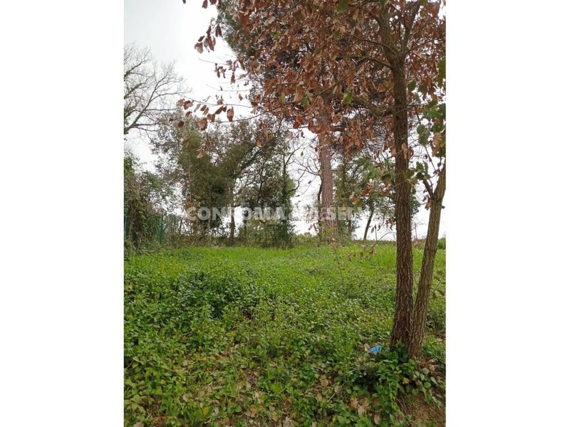 Foto e6c901a8-e74a-4575-83f7-4dc01b729aa5. Wohngrundstück in Residencial Park Maçanet de la Selva