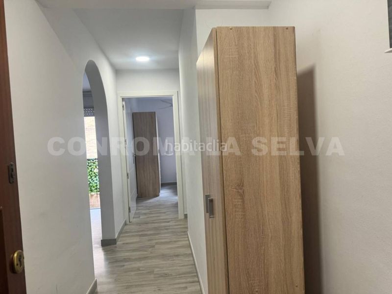 Foto 9dced3da-f8a5-441f-b164-9a08d78f0b3f. Pis a La plantera Blanes