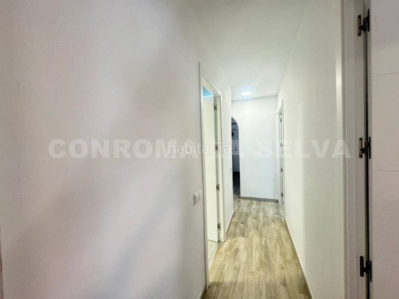 Foto c8b5acce-16a8-461b-b709-97dec3d18feb. Pis a La plantera Blanes