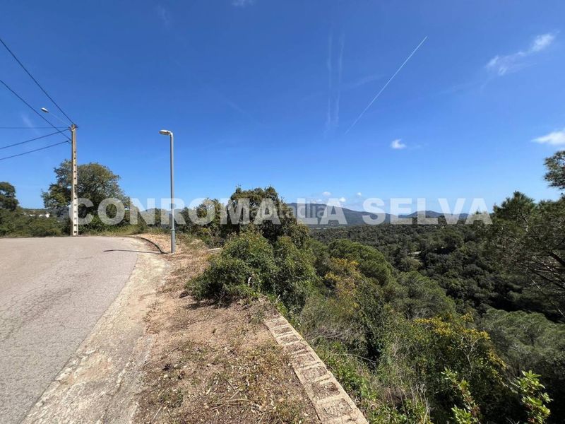 Foto 1004995a-dcea-4e0b-8fea-e8cbc1f0439f. Terreny residencial a Serra Brava Lloret de Mar