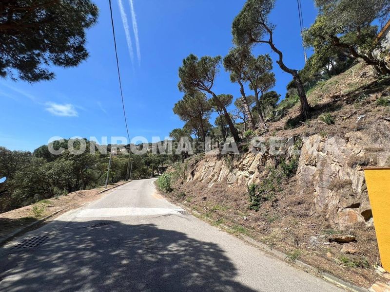Foto 130a348d-c170-4650-853f-01d436044349. Terreny residencial a Serra Brava Lloret de Mar