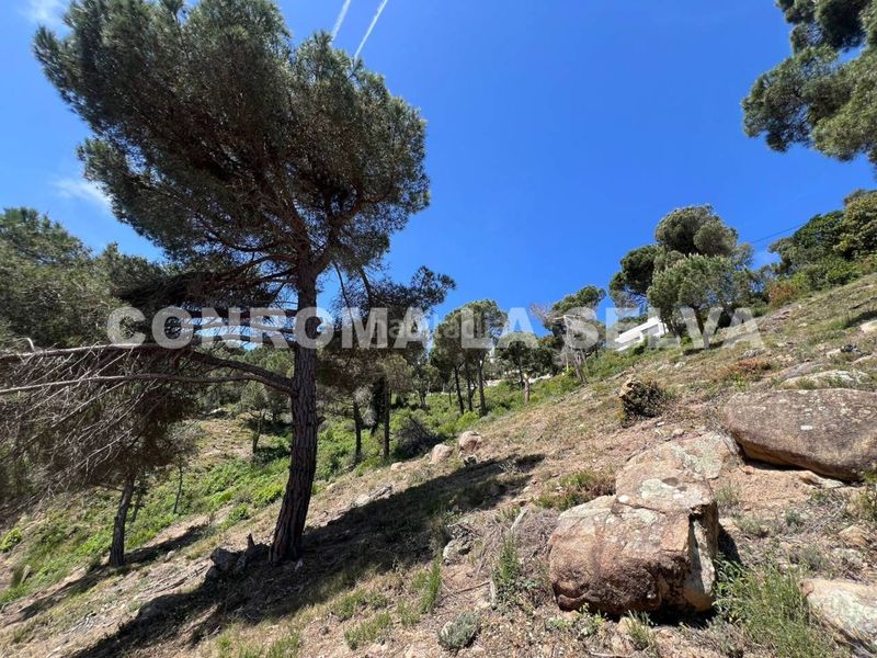 Foto 1ec90c45-3807-4fa5-b942-62ac132df7ac. Terreny residencial a Serra Brava Lloret de Mar