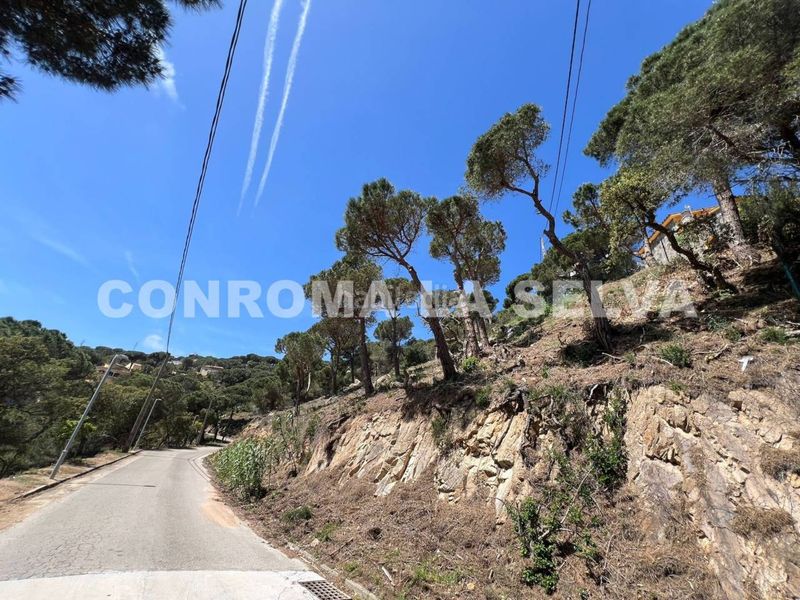 Foto 1f44689a-a1e5-4ef6-bc44-8535016c3383. Terreny residencial a Serra Brava Lloret de Mar