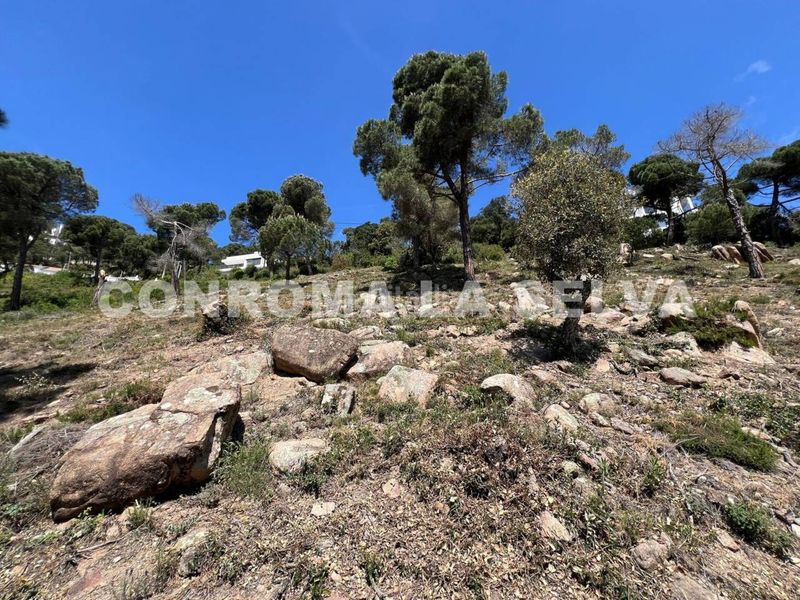 Foto 1f5aa393-5194-4f5f-9606-a03d12501e01. Terreny residencial a Serra Brava Lloret de Mar