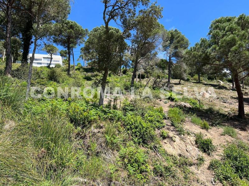 Foto 2e43524e-bbd5-4740-9b09-da8c22119697. Terreny residencial a Serra Brava Lloret de Mar