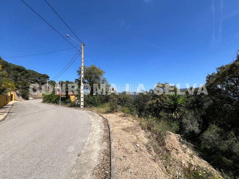 Foto 3c09f603-3b7e-43a0-9b73-ee02f24e17bc. Terreny residencial a Serra Brava Lloret de Mar