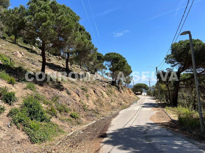 Foto 4534653c-b519-4bd2-b3c1-cd9ece0727ca. Terreny residencial a Serra Brava Lloret de Mar