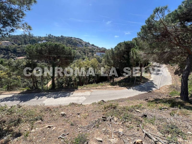 Foto 4cb72c57-e942-47b5-af11-9a4c3616d9a5. Terreny residencial a Serra Brava Lloret de Mar