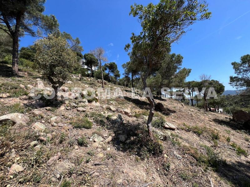 Foto 4d50faef-a207-4791-8bd1-7c941fdefddc. Terreny residencial a Serra Brava Lloret de Mar