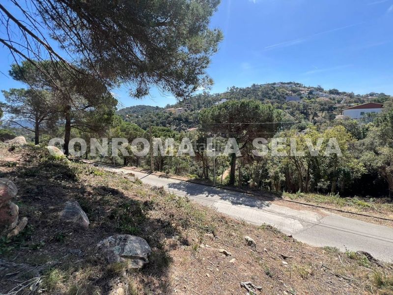 Foto 9d64ac1d-22a1-4228-a47d-25a2f40663ba. Terreny residencial a Serra Brava Lloret de Mar