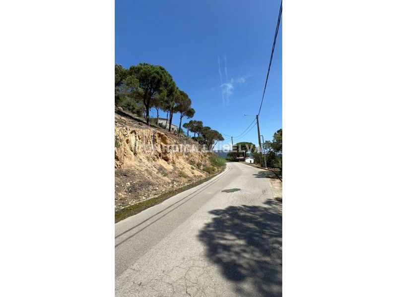 Foto e4a8a2e9-8012-45ee-94e3-95cf80003904. Terreny residencial a Serra Brava Lloret de Mar
