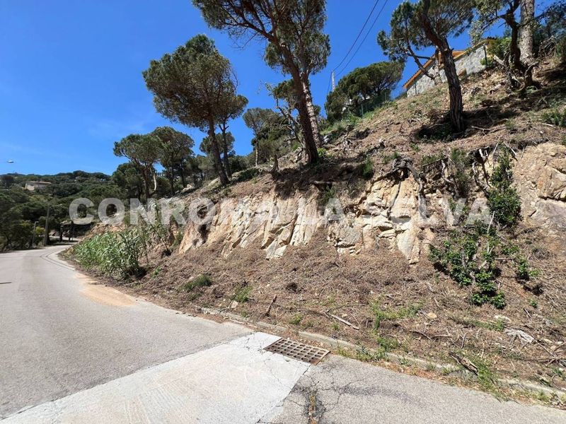 Foto ef9ff5c0-7b74-46f0-b486-4e0d784719df. Terreny residencial a Serra Brava Lloret de Mar