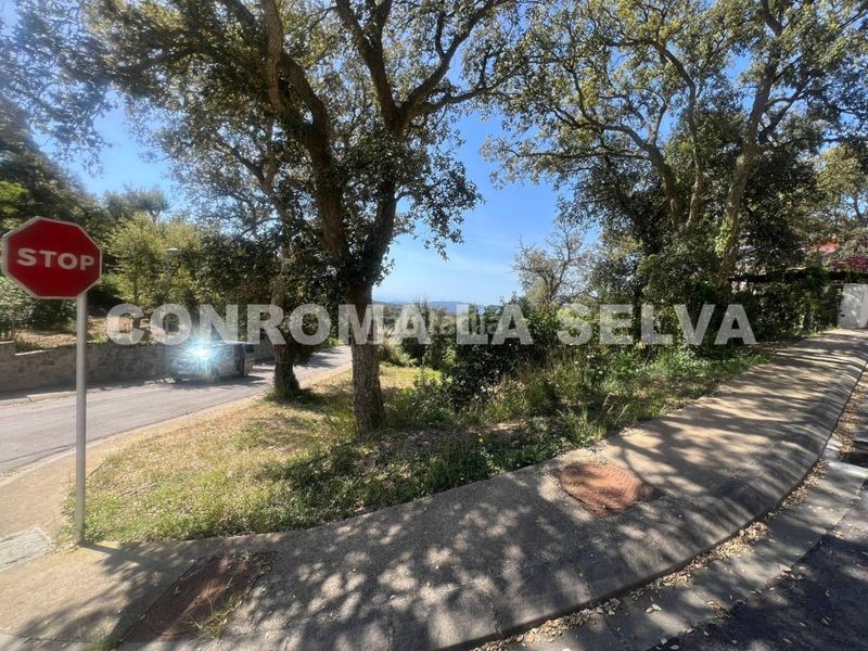 Foto 0684d3ef-f1e6-49da-b04b-333c906e66fa. Terreny residencial a Llagostera