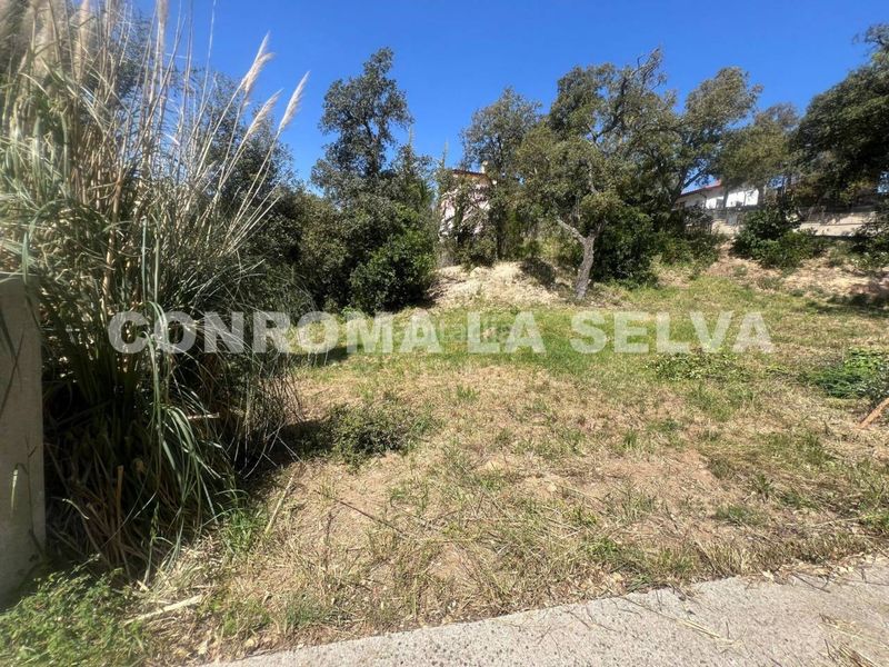 Foto 8a09f0af-ab5a-4bff-81b5-46221b101b7a. Terreny residencial a Llagostera