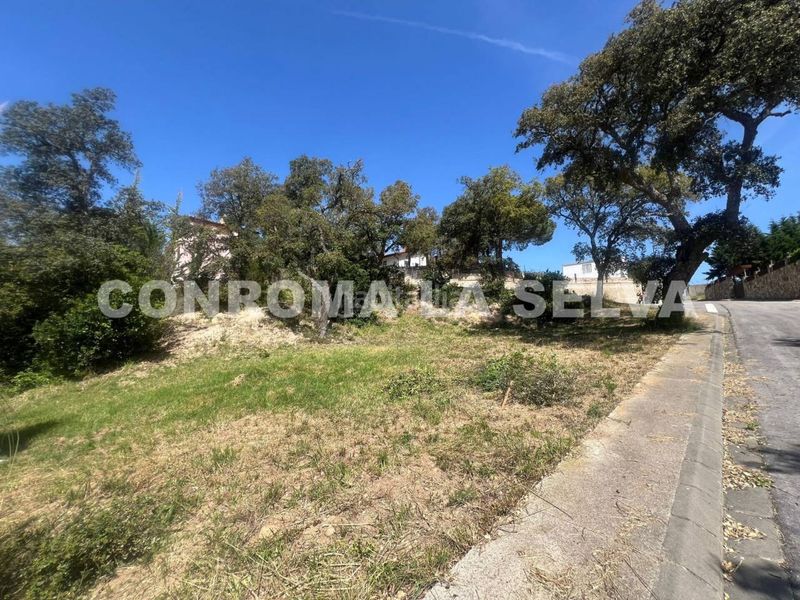 Foto c6c0def9-7d5f-4089-b55e-46411b6bf3d3. Terreny residencial a Llagostera