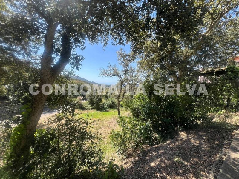 Foto d7f5c261-2de8-4b0c-a18a-318c1d8998eb. Terreny residencial a Llagostera