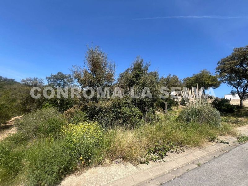 Foto e70e7a75-51ec-4ceb-9b15-e8f60e215c46. Terreny residencial a Llagostera