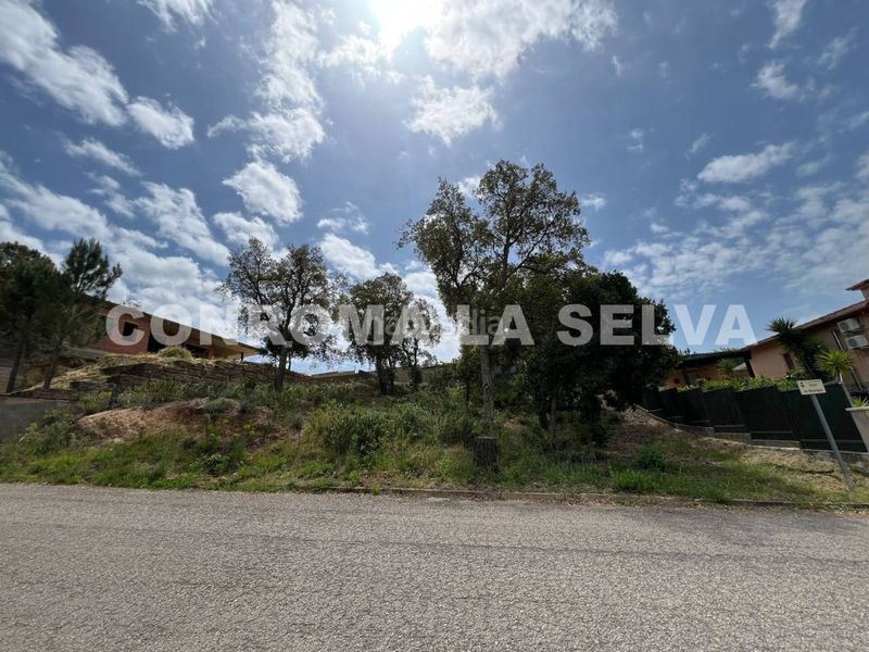 Foto 196ce192-9f89-4e54-b86b-ed7c5bf29df5. Finca rústica a Lloret Residencial - Montlloret Lloret de Mar