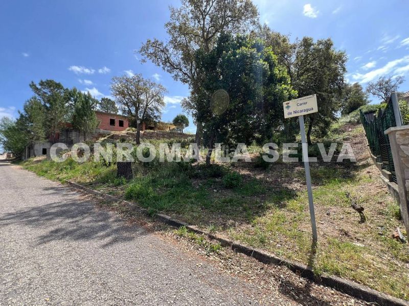 Foto 442854e5-d631-4913-b2ac-9441a8e3601d. Finca rústica a Lloret Residencial - Montlloret Lloret de Mar