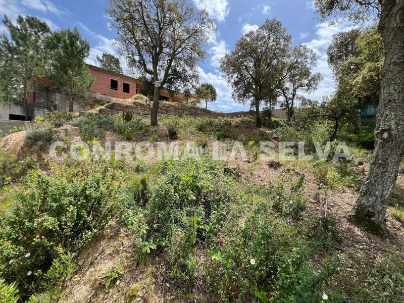 Foto 5353d2fd-0fb9-446d-98fe-a70eecd374bf. Finca rústica a Lloret Residencial - Montlloret Lloret de Mar