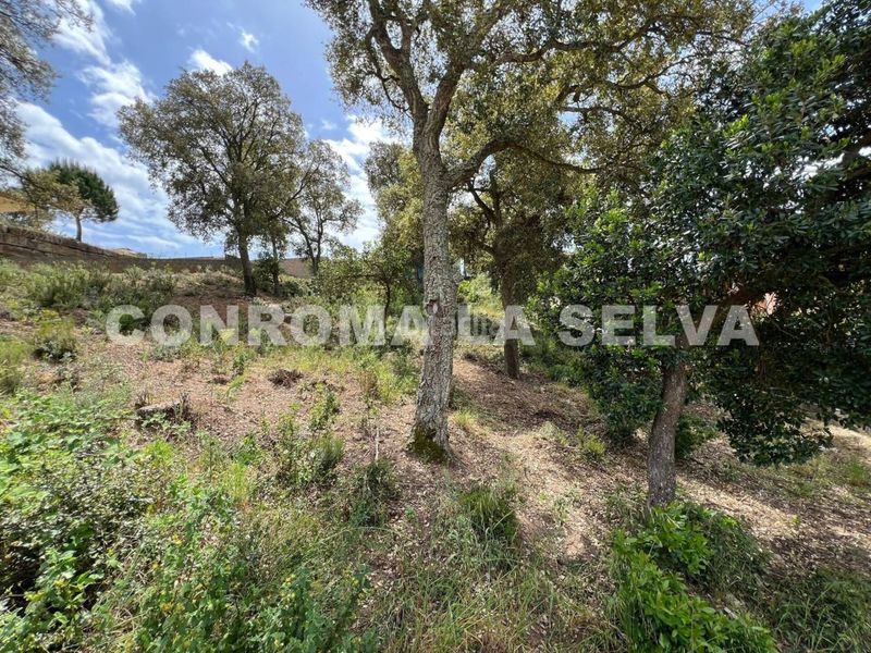 Foto 827f9547-1c7d-471c-8a8d-ec64edb266de. Finca rústica a Lloret Residencial - Montlloret Lloret de Mar