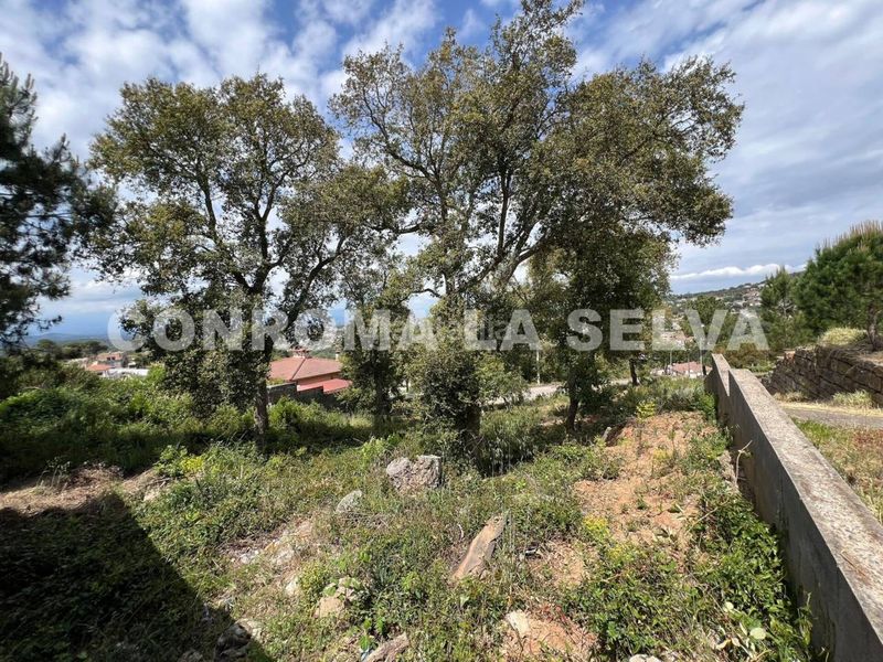 Foto 8551983a-d385-4698-a816-1a0274fae0c7. Finca rústica a Lloret Residencial - Montlloret Lloret de Mar